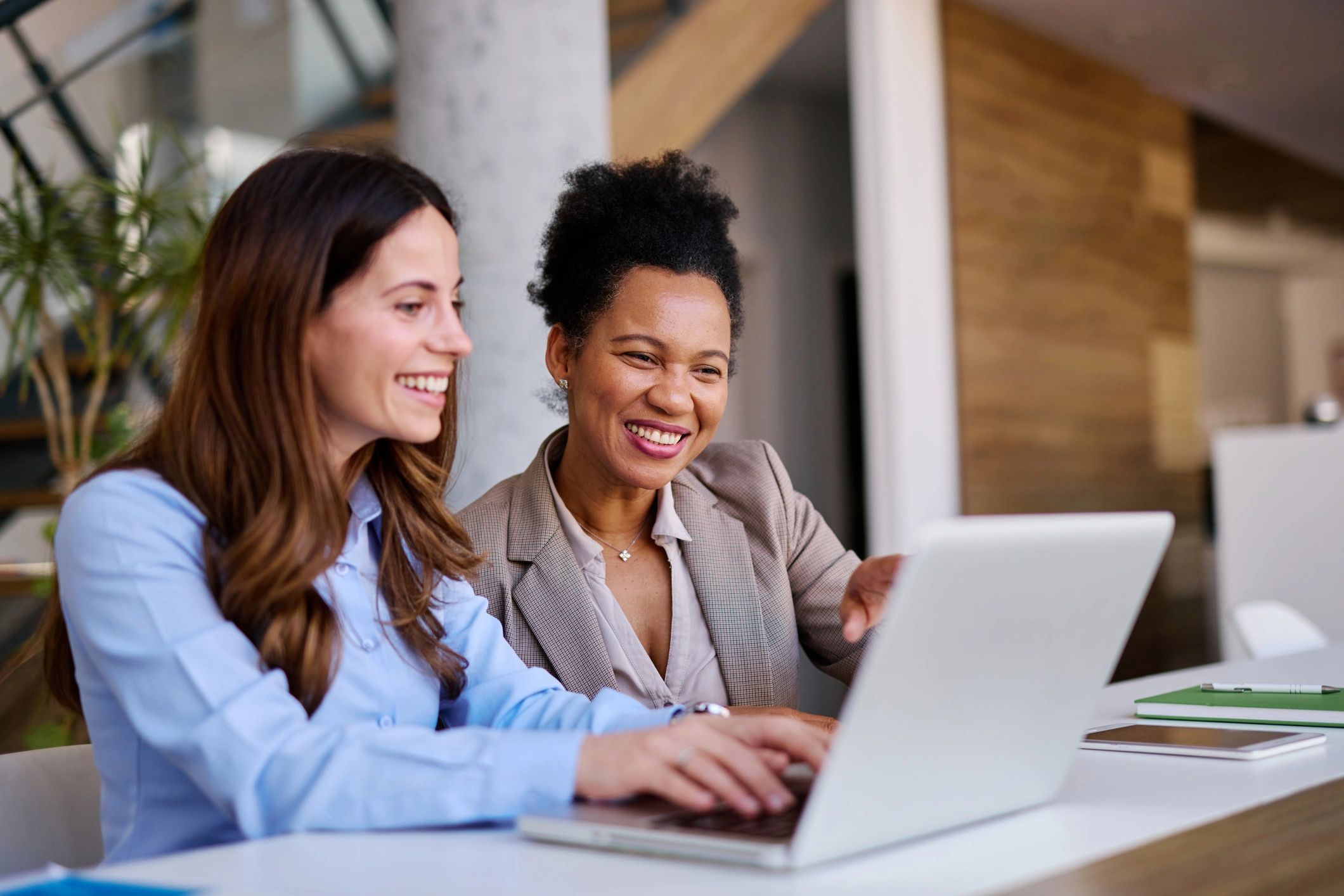 professional business portrait entrepreneur leadership
